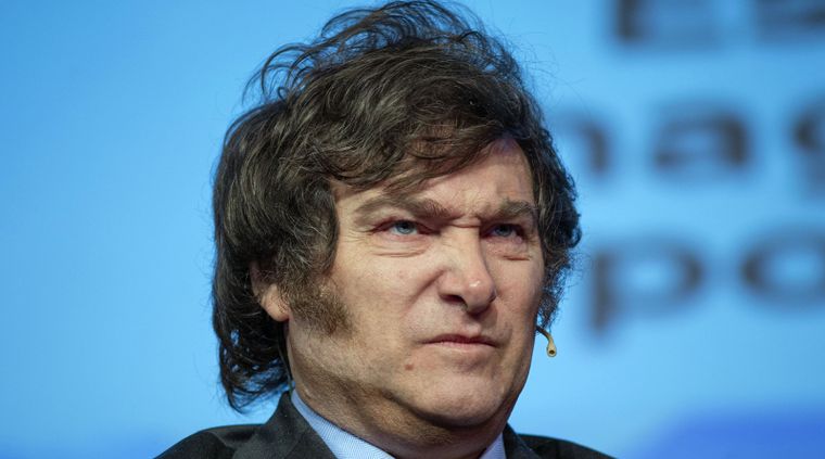 Las swifties enfrentan a Javier Milei Foto: NA