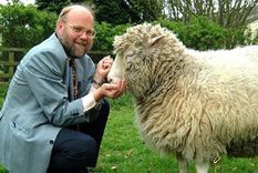 Uno de los padres de la oveja Dolly murió este domingo. Foto: EFE