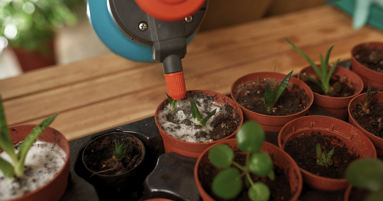 Este abono es oro puro para las plantas del jardín Foto: Shutterstock