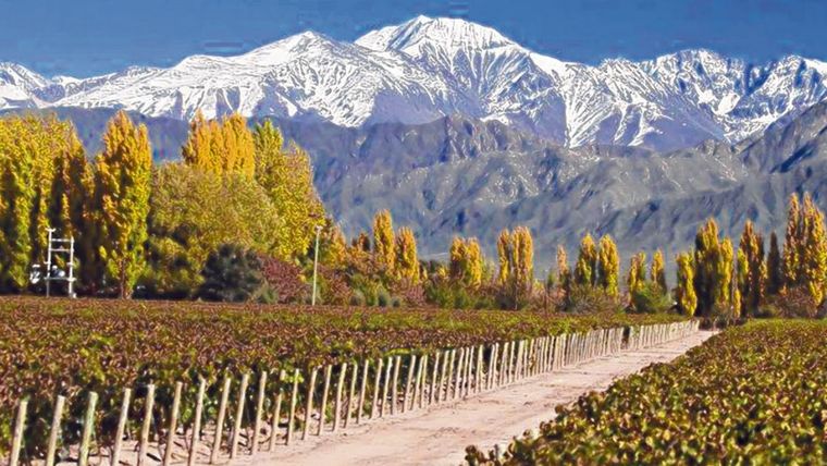 Mendoza... ¿Será para los tuiteros la más bella del país?