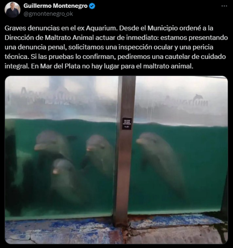 El intendente ya solicitó la intervención de la Dirección de Maltrato Animal. El intendente ya solicitó la intervención de la Dirección de Maltrato Animal.