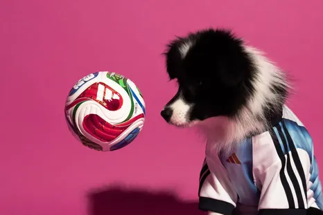 Adidas comunicó una línea de camisetas para mascotas antes del Mundial 2026. Adidas comunicó una línea de camisetas para mascotas antes del Mundial 2026.