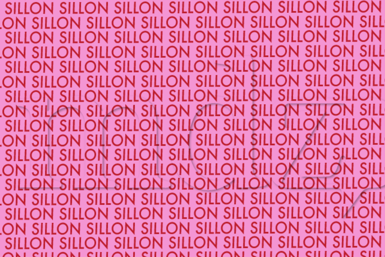 ACERTIJO VISUAL ACERTIJO VISUAL, RETO VISUAL, PALABRA Foto: MDZ ONLINE