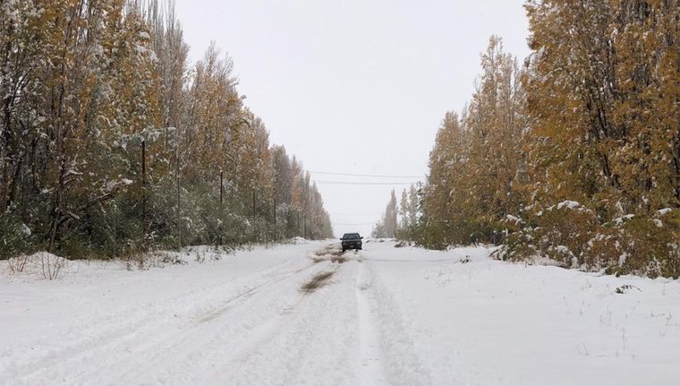 El Sistema de Alerta Temprana emitió avisos de nivel naranja por nevadas fuertes Foto: Gentileza