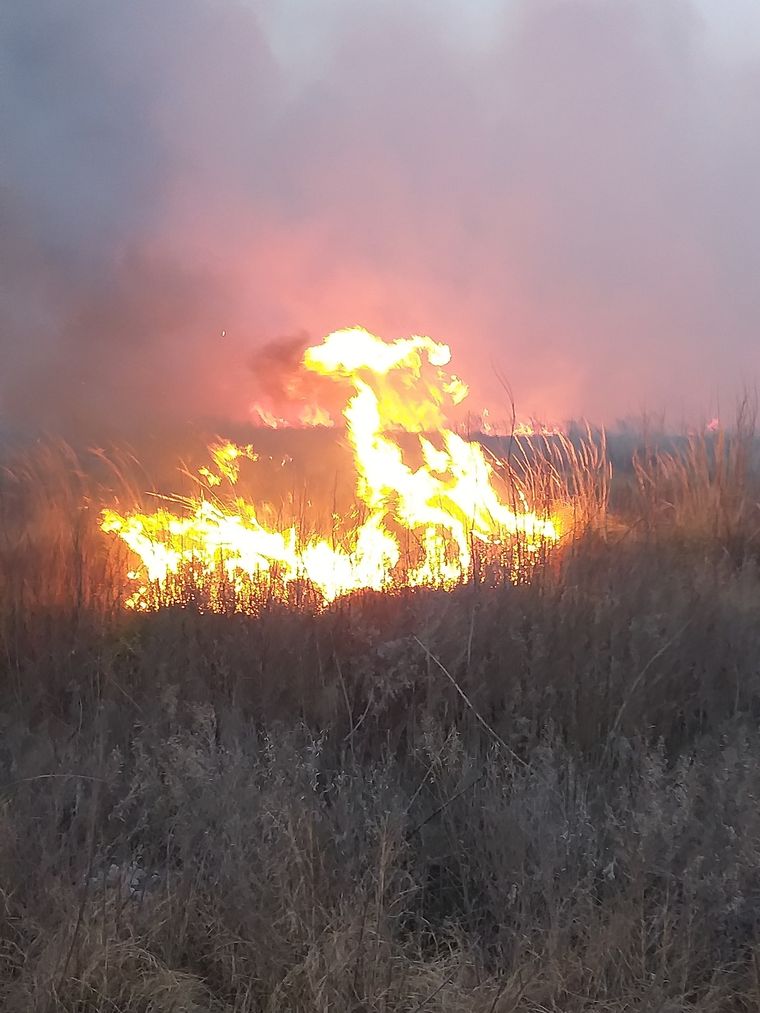 Los focos se registraron en el Valle de Uco Foto: Bomberos voluntarios Tunuyán