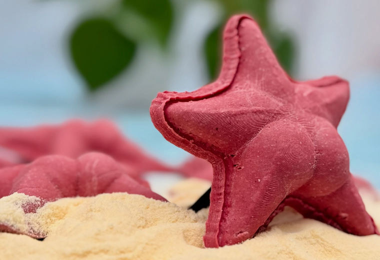 La fábrica de pastas Alfredo Pasta de La Plata creó unos sorrentinos con forma de estrella de mar, en honor al ejemplar capturado por los científicos del Conicet. 