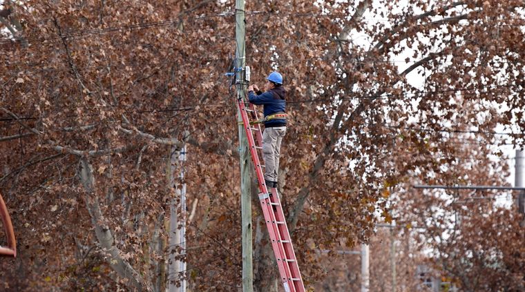 Los servicios de luz son los principales afectados. Foto: ALF PONCE MERCADO / MDZ