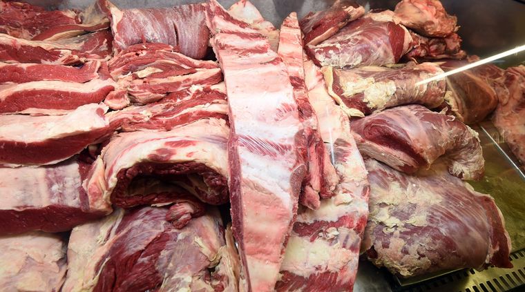 Foto: ALF PONCE / MDZ