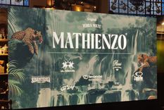 crece el universo de la yerba mate