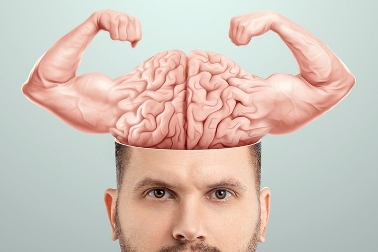 Aún cuando se dice que el cerebro tiene lugar ilimitado, las personas siempre acceden y ocupan los mismos espacios. Foto: Shutterstock