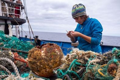 MDZol | Los investigadores colaboraron con el Instituto Ocean Voyages para recolectar los residuos del océano. Foto: OCEAN VOYAGES INSTITUTE