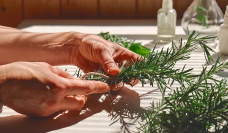 El poder del romero, un aliado natural para la salud. Foto: Shutterstock