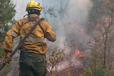 El incendio en El Bolsón afecta más de 3000 hectáreas de vegetación. Foto: Gobierno de Rio Negro
