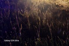 Dos hombres resultaron heridos tras volcar en la Ruta 7 a la altura de Desaguadero Foto: Ministerio de Seguridad de Mendoza Dos hombres resultaron heridos tras volcar en la Ruta 7 a la altura de Desaguadero Foto: Ministerio de Seguridad de Mendoza