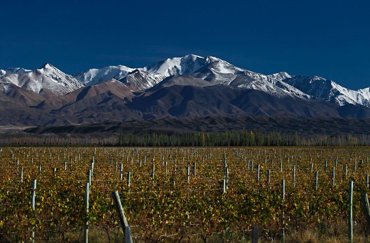 (Foto Wine )Of Argentina)