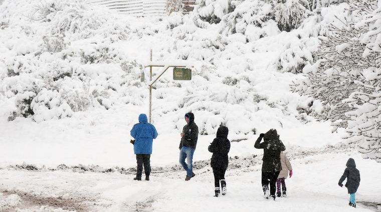 Foto: ALF PONCE MERCADO / MDZ