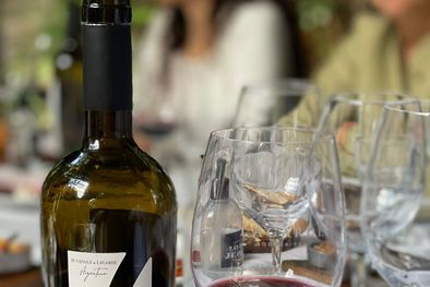 MDZol | 1124384.jpeg