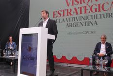 Mario González, presidente de Coviar. Hoy la institución despide a un invaluable colaborador. Foto: COVIAR