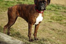 una usina de carino ilimitado