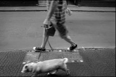 cuatro miradas actuales