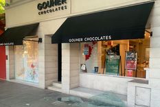 Los robos en el centro mendocino a raiz de la rotura de vidirieras a crecido en el ultimo tiempo.