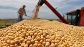 El Gobierno eliminó exigencias para los exportadores de granos y otras actividades. Foto: Noticias Argentinas