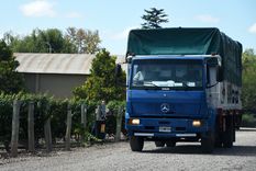 Los distintos actores de la vitivinicultura están sufriendo las consecuencias de la crisis financiera de algunas bodegas.