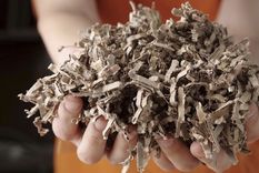 El cartón puede ser tu nuevo aliado en la batalla contra las malezas Foto: Shutterstock