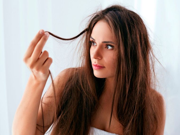 Los aceites naturales contribuyen con el cuidado del cabello. Foto: Archivo