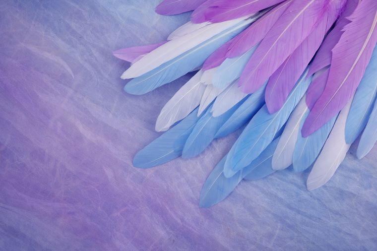 Un mensaje de amor cada día. Foto: Fuente: Shutterstock