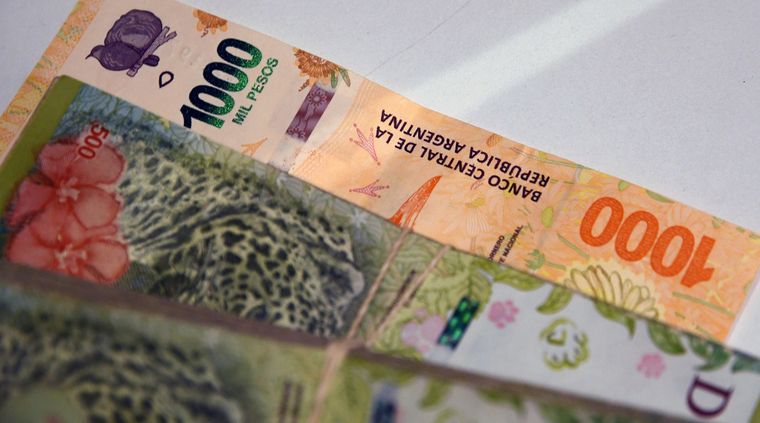 Los planes sociales aumentaron junto al salario mínimo Foto: ALF PONCE MERCADO / MDZ