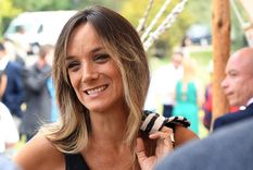 Galmarini apuntó contra Scioli por celebrar un boom en Semana Santa Foto: ALF PONCE / MDZ