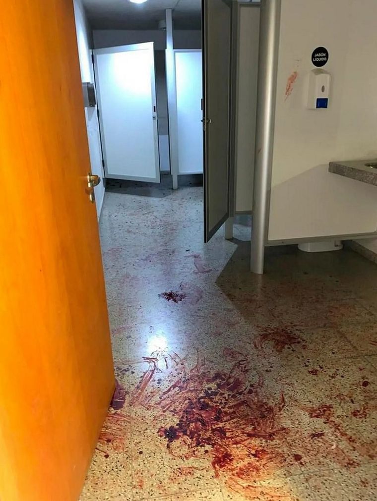 Las imágenes del macabro hallazgo Foto: El Doce