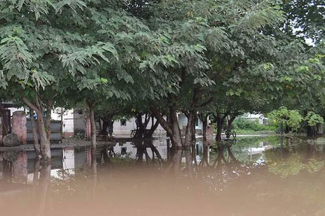alerta por temporal en tucuman: intensas lluvias provocaron anegamientos y los videos son impactantes alerta por temporal en tucuman: intensas lluvias provocaron anegamientos y los videos son impactantes