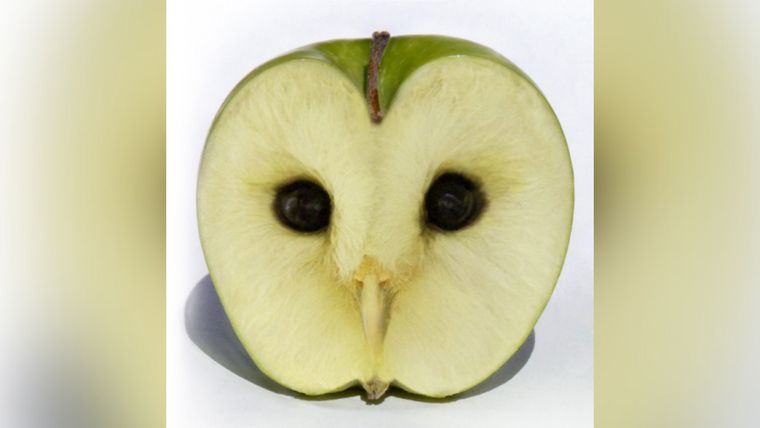 Test de personalidad Foto: Radek Ossowski