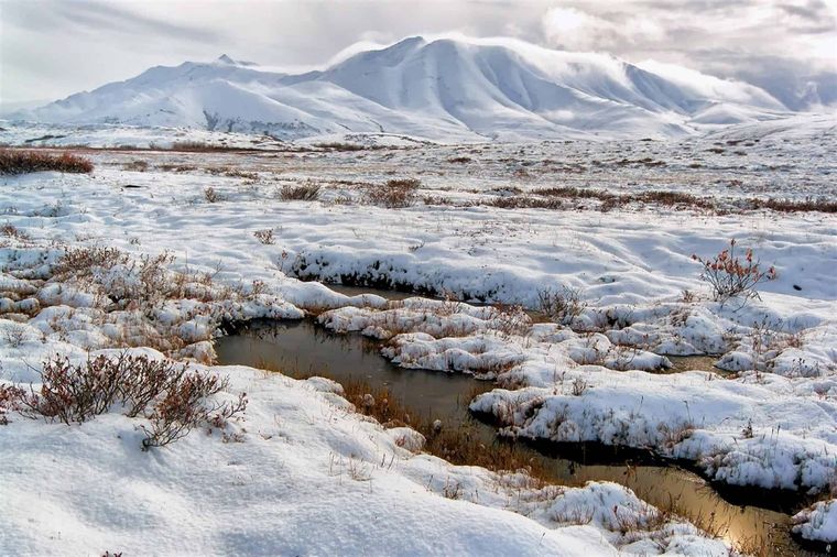 El círculo polar ártico se derrite a velocidades peligrosas para la humanidad