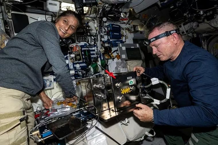 Suni Williams y Butch Willmore, los astronautas varados Foto: NASA