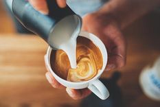 Estos son los mejores café para mantener la energía, según la IA Foto: Shutterstock
