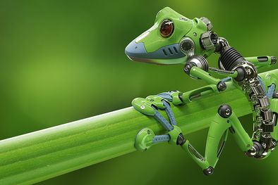 MDZol | “La mayoría de la gente piensa que los robots están hechos de metales y cerámica, pero no se trata tanto de de qué está hecho un robot, sino de lo que hace, que actúa por sí solo en nombre de la gente