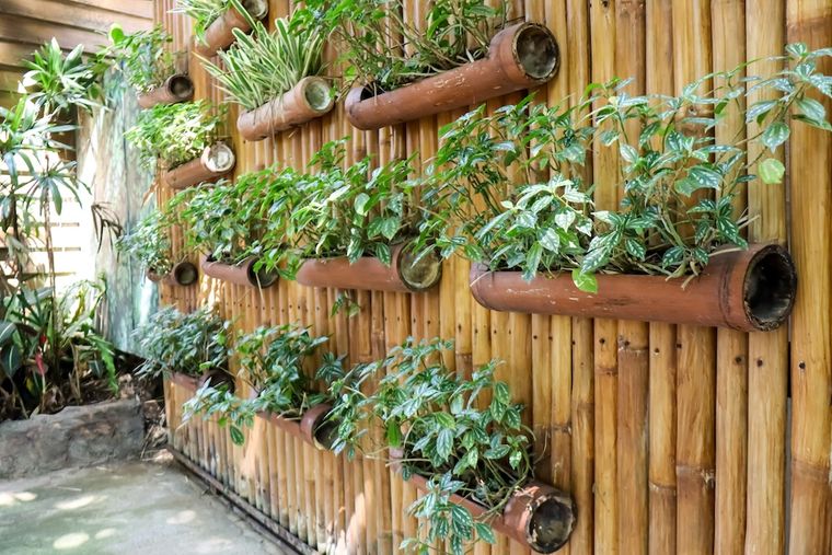 El jardín flotante: la última tendencia. El jardín flotante: la última tendencia.