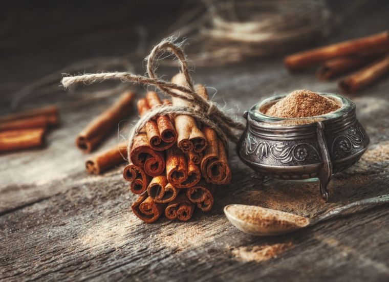 Una aliada de la jardinería. Foto: Shutterstock Una aliada de la jardinería. Foto: Shutterstock