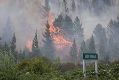 El incendio comenzó el miércoles pasado en un sector próximo al lago Epuyén, según comunicaron las autoridades locales Foto: Gentileza X @EnriqueViale