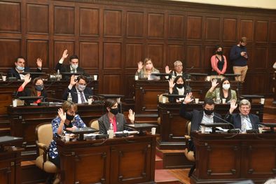 MDZol | Foto: Honorable Cámara de Diputados