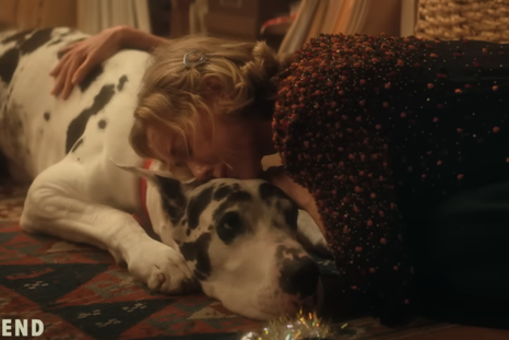 Nuevas propuestas para iniciar la mitad del año. Nuevas propuestas para iniciar la mitad del año.