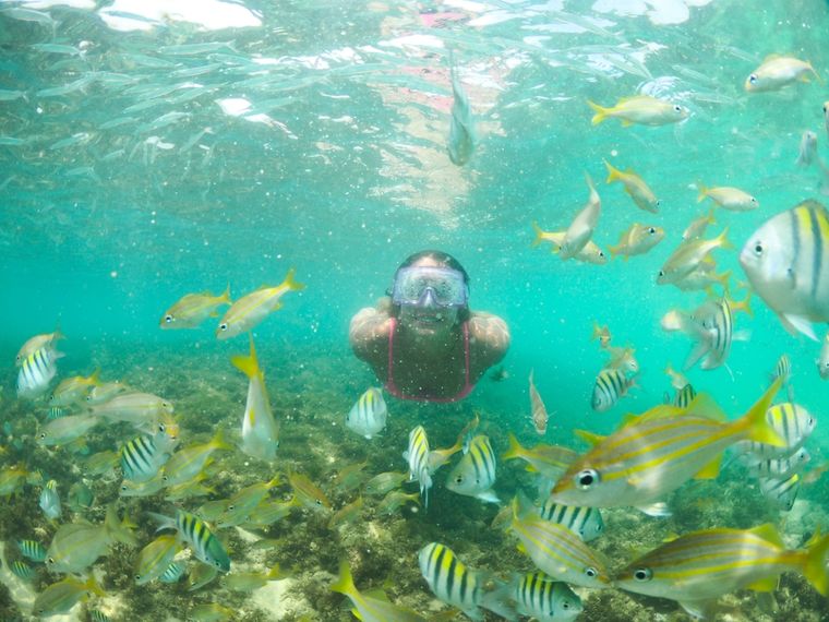Este destino ideal para el verano se encuentra en el norte de Brasil. Foto: Shutterstock