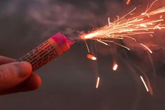 La norma establece multas, decomisos y clausuras para quienes incumplan la prohibición.