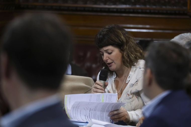 La diputada kirchnerista Carolina Gaillard discutió a los gritos con Martín Menem Foto: Cuenta de X de Carolina Gaillard