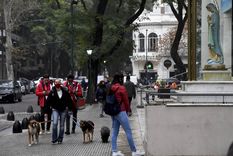 Los paseadores de perros fueron habilitados en Buenos Aires. Foto: Télam Los paseadores de perros fueron habilitados en Buenos Aires. Foto: Télam
