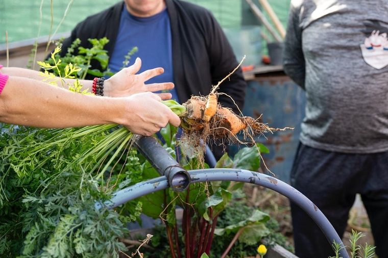Con eje en la sustentabilidad, Godoy Cruz puso en marcha “Legado Verde” en su Vivero Municipal. Con eje en la sustentabilidad, Godoy Cruz puso en marcha “Legado Verde” en su Vivero Municipal.