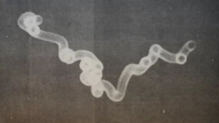 Registro de un supuesto ovni captado por el fotógrafo Adenir Britto. Foto: ACERVO JACKSON CAMARGO